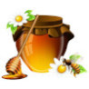Pot de miel 378 gr