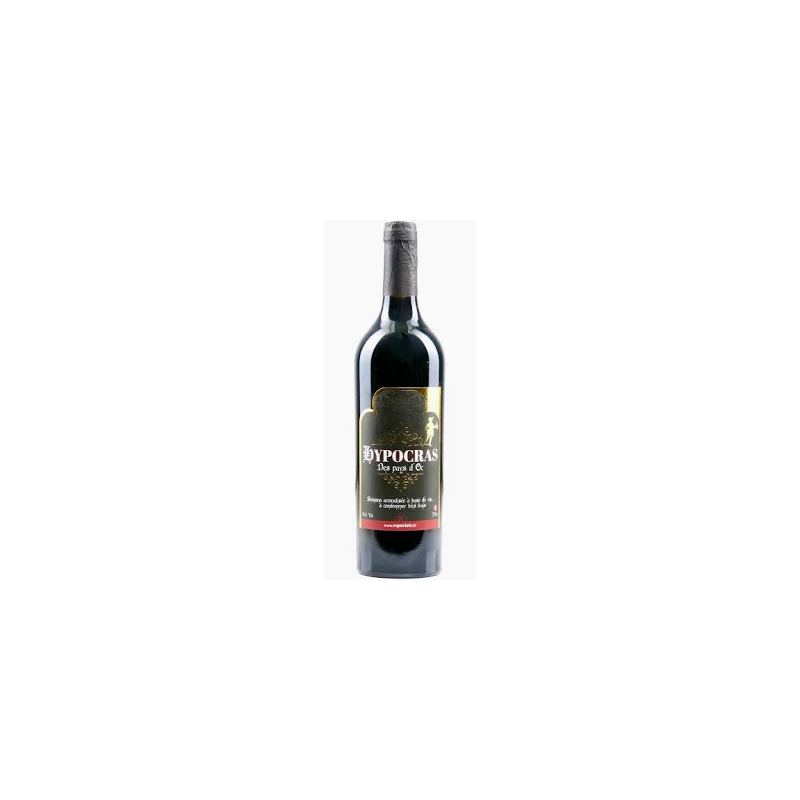 Hypocras médiéval aux épices vin rouge