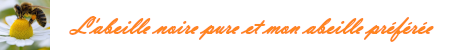 https://miel-abeilles.com/forum