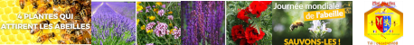 https://miel-abeilles.com/forum
