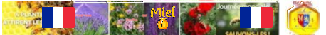 https://miel-abeilles.com/forum