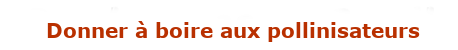 https://miel-abeilles.com/forum